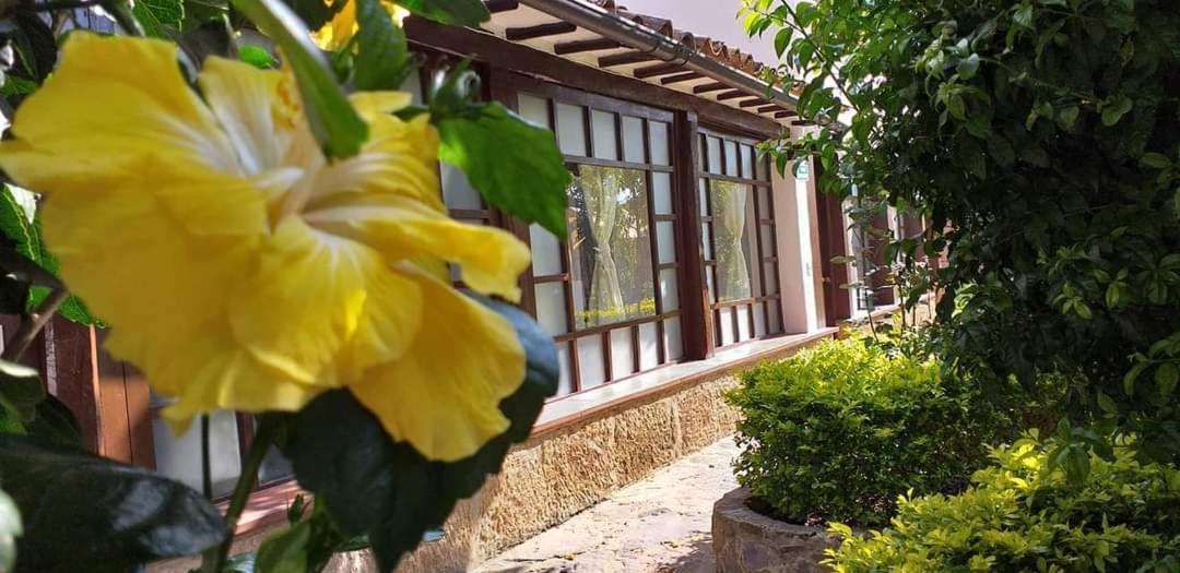 فيلا دي ليفا San Fernando De La Villa المظهر الخارجي الصورة